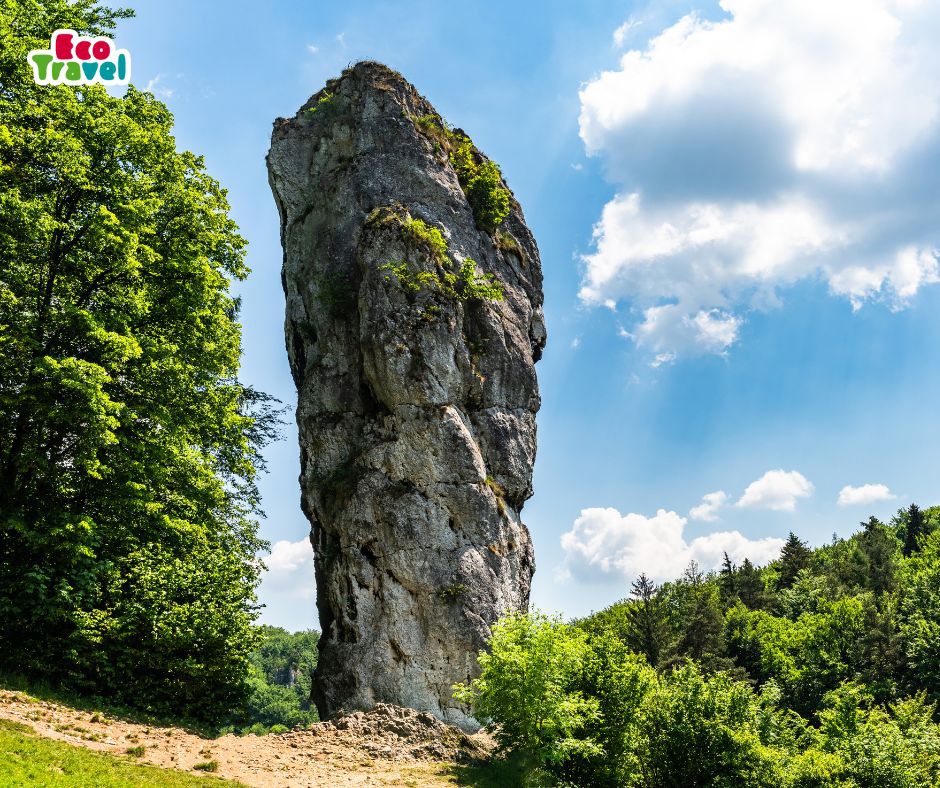 Dlaczego Wycieczka Szkolna na JureÌ¨ Krakowsko-CzeÌ¨stochowskaÌ¨ to Idealna Przygoda dla Twojej Klasy